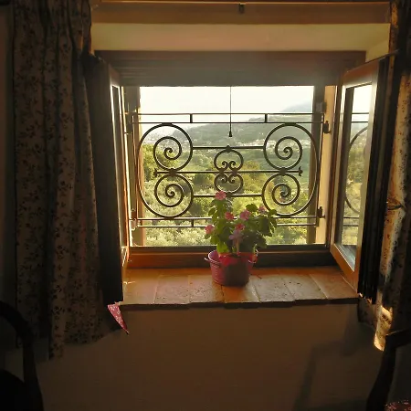 Bed & Breakfast Paradiso 3*