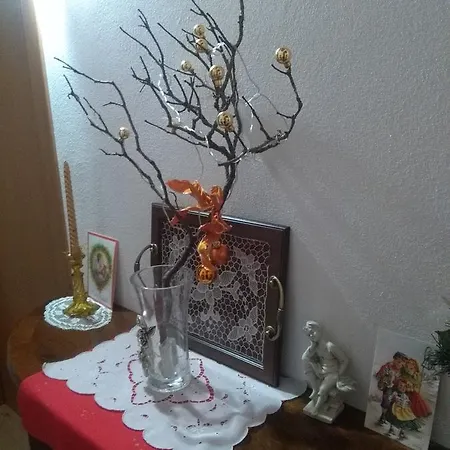 Bed & Breakfast Paradiso 3*