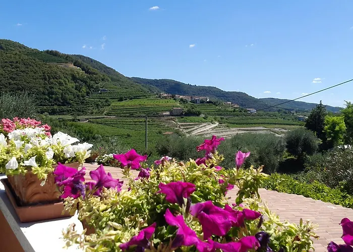 Paradiso 3* ネグラール