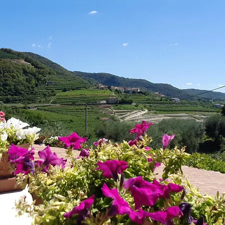 Paradiso 3* 네그라르